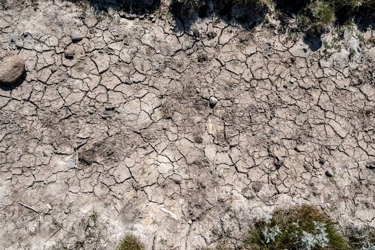 “Extreme drought in Sweden-this is what it looks like where you live"